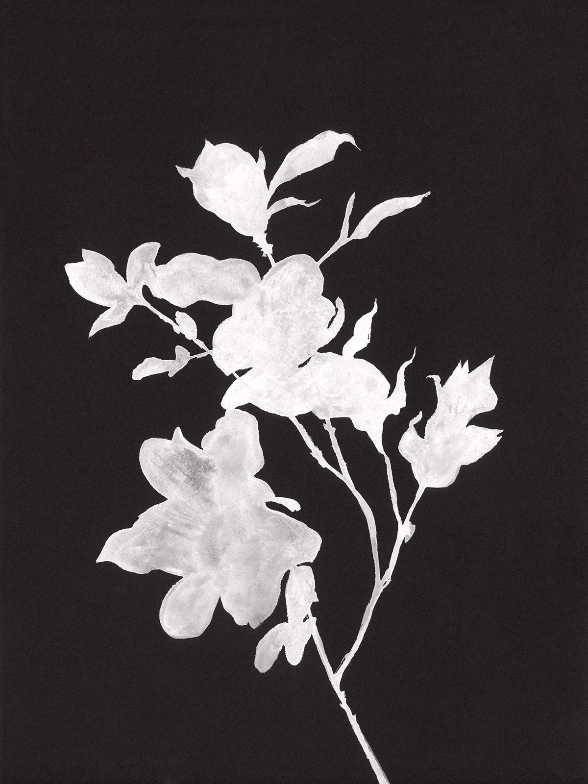Ghost Flower #1 - PRINT