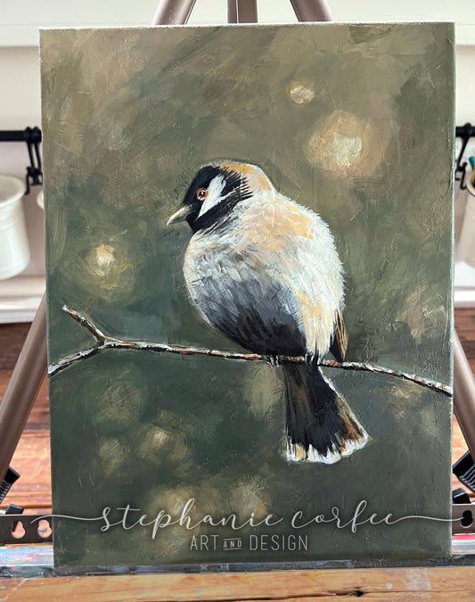 Fluffy Little Bird on a Branch - Acrylic painting on gallery canvas