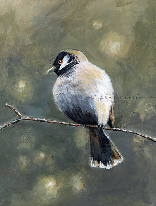 Fluffy Little Bird on a Branch - PRINT