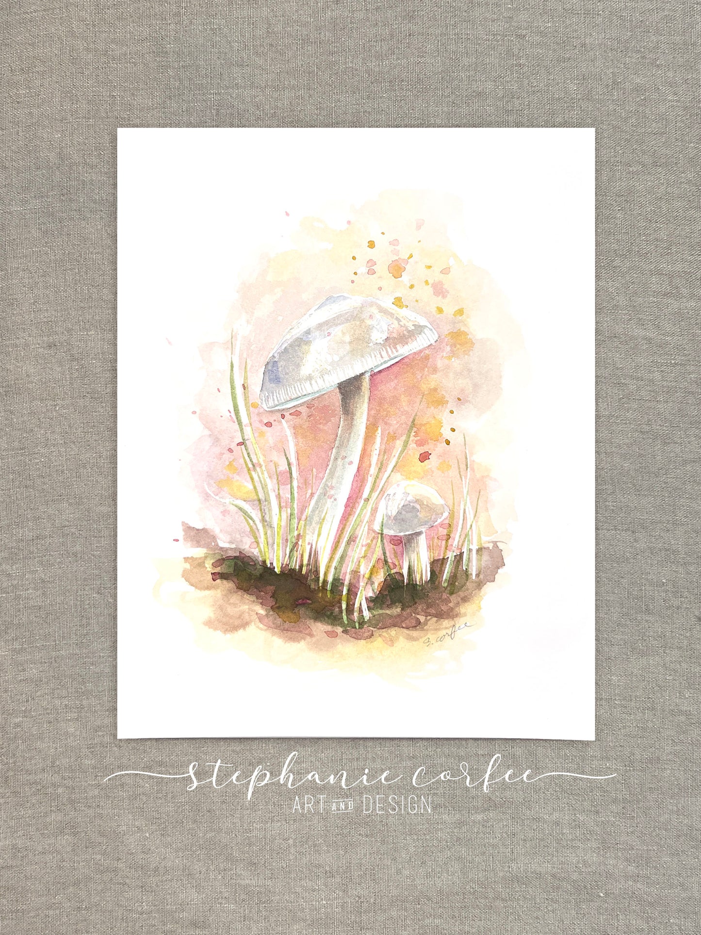 STUDIO SALE - White Cap Mushrooms