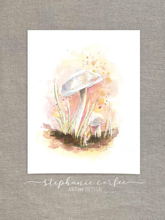STUDIO SALE - White Cap Mushrooms
