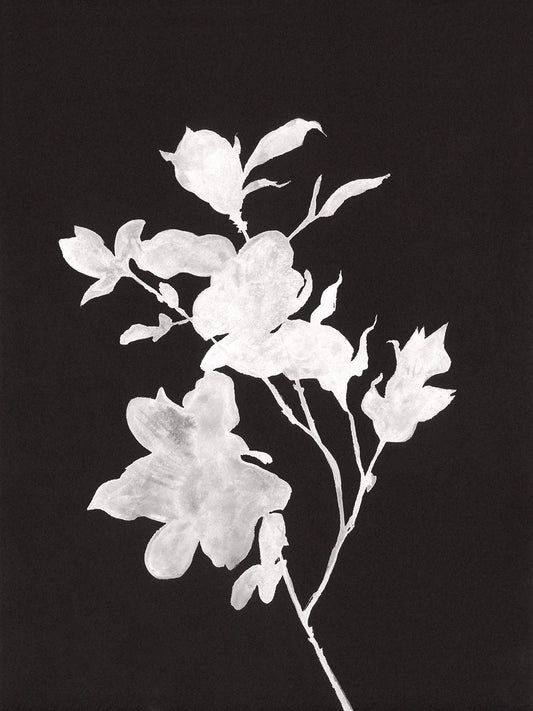 Ghost Flower #1  - PRINT
