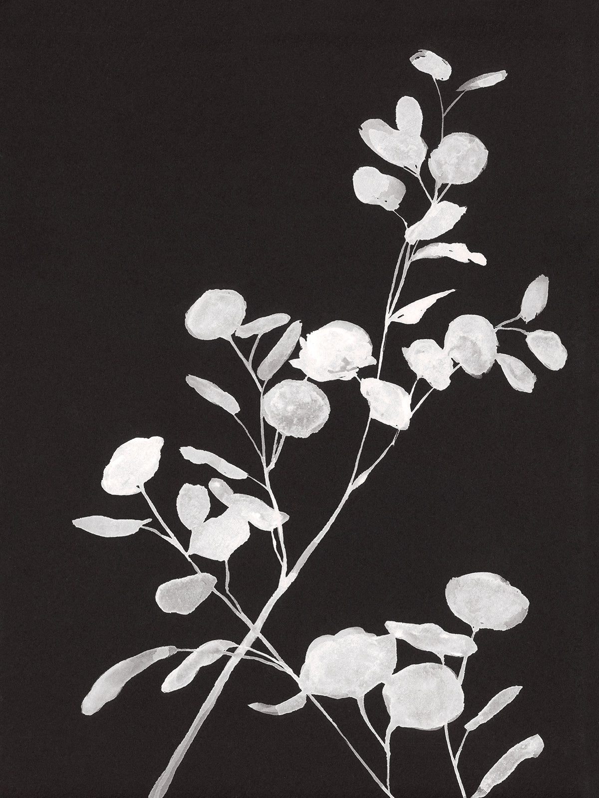 Ghost Flower #2 - PRINT