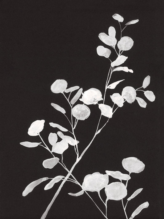 Ghost Flower #2 - PRINT