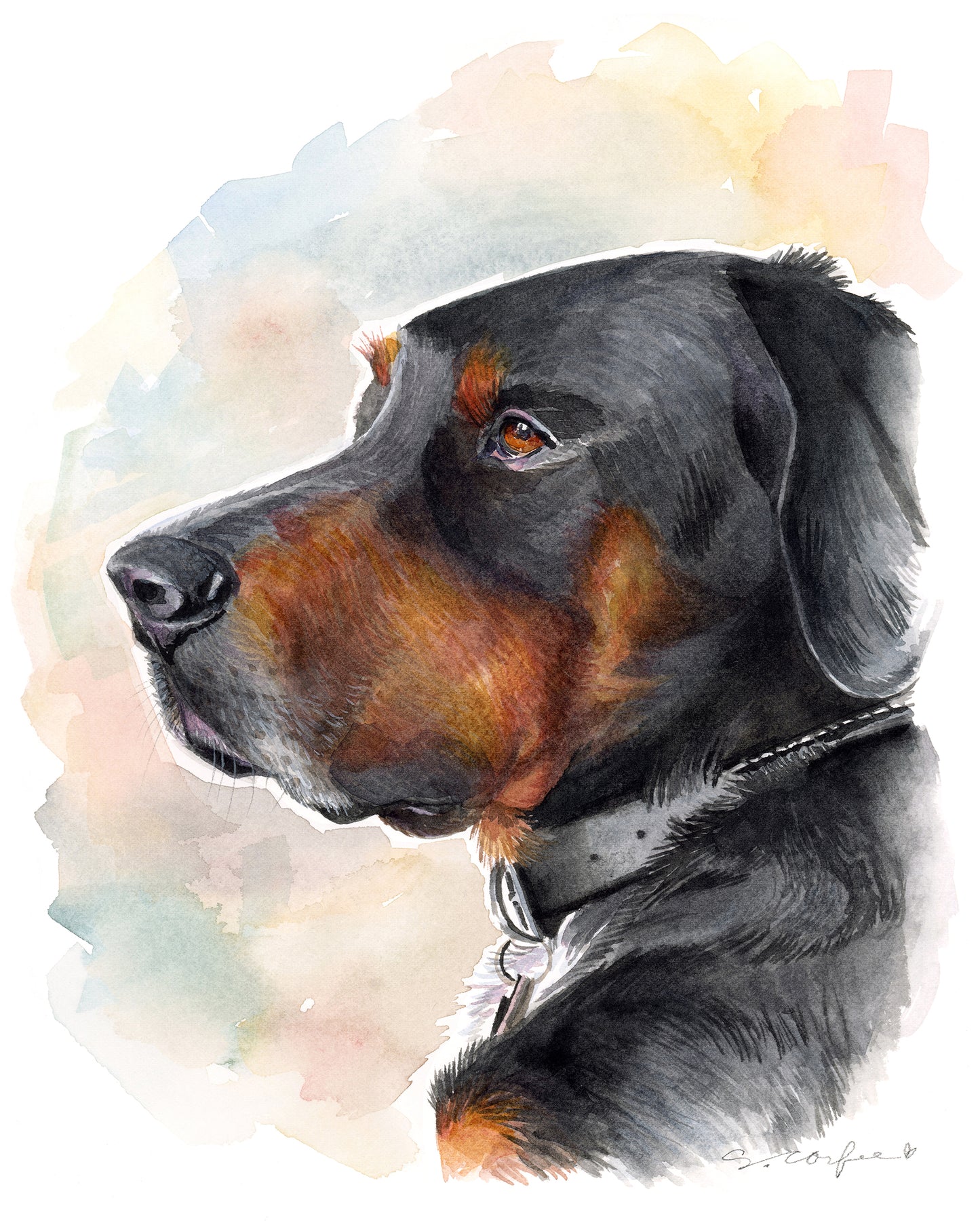 Watercolor Pet Portraits - portrait,  dog Portrait, cat portrait, B&W Portrait, Keepsake Portrait, Portrait Painting, painted portrait