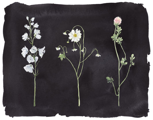 Flower Stems on Black - PRINT