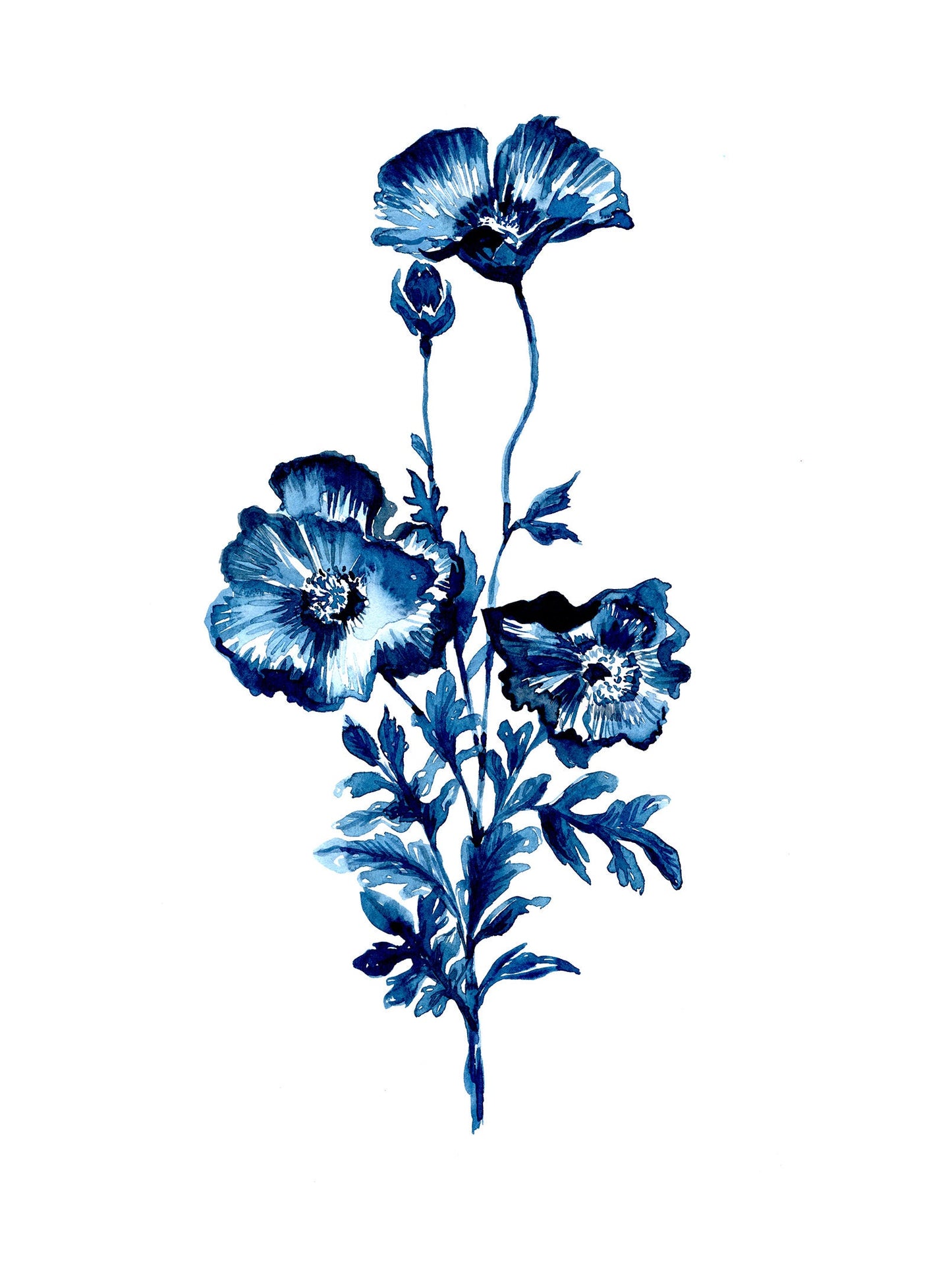 Indigo Poppies - PRINT, monochrome, watercolor, floral, blue, stems, flowers, botanical art