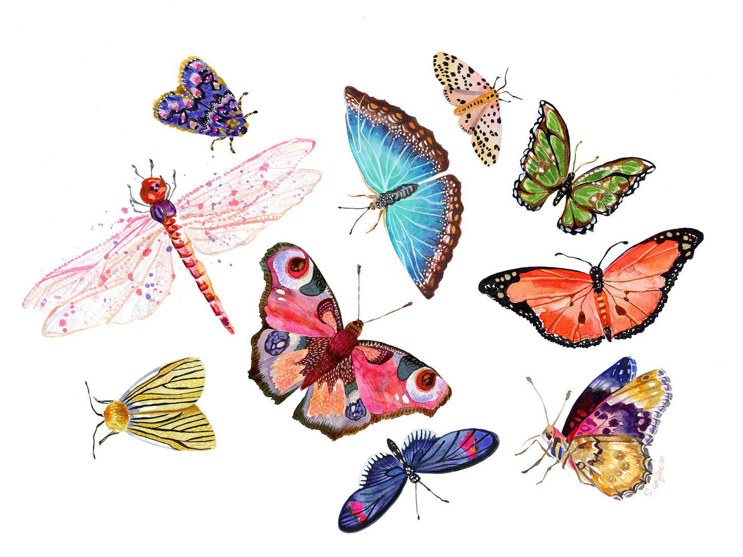 Butterfly Scatter No. 2 - PRINT  watercolor painting, paper print, colorful print, cheerful print, moth, butterfly, wings