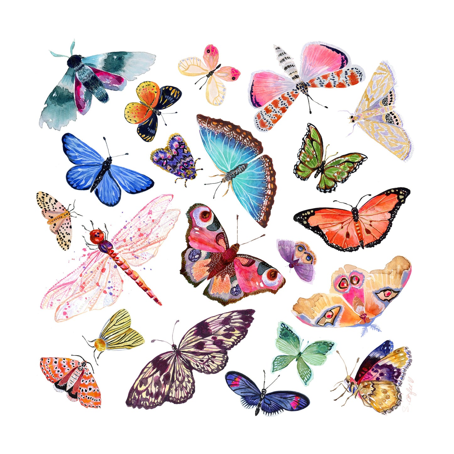 Butterfly Scatter COMPLETE - PRINT  watercolor painting, paper print, colorful print, cheerful print, moth, butterfly, wings